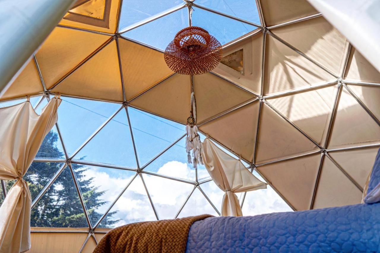 Alma De Campo Glamping - Laguna De スエスカ エクステリア 写真