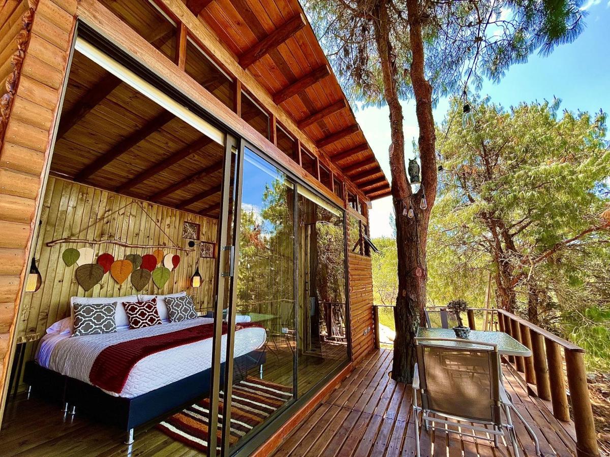 Alma De Campo Glamping - Laguna De スエスカ エクステリア 写真