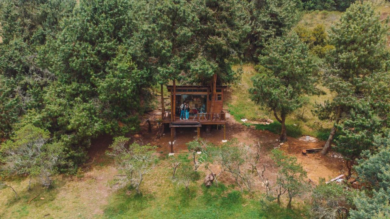Alma De Campo Glamping - Laguna De スエスカ エクステリア 写真